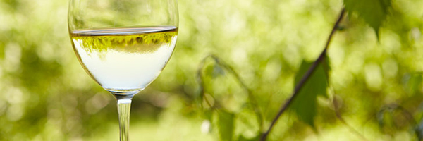 Licor De Vino Dulce