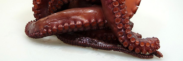 Pulpo En Seco